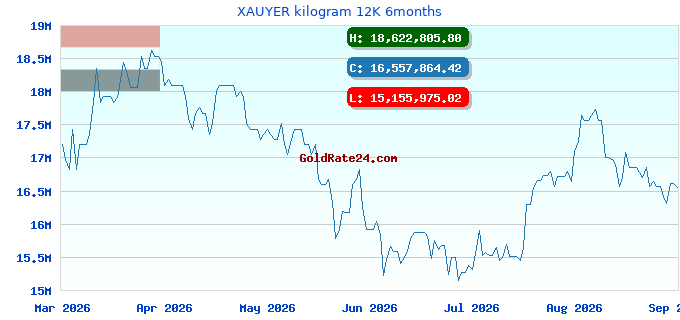 XAUYER kilogram 12K 6months