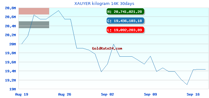 XAUYER kilogram 14K 30days