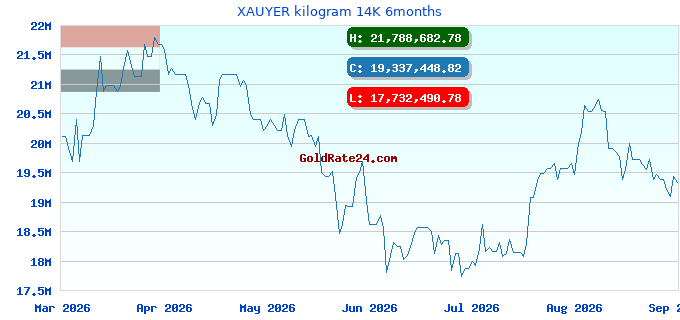 XAUYER kilogram 14K 6months