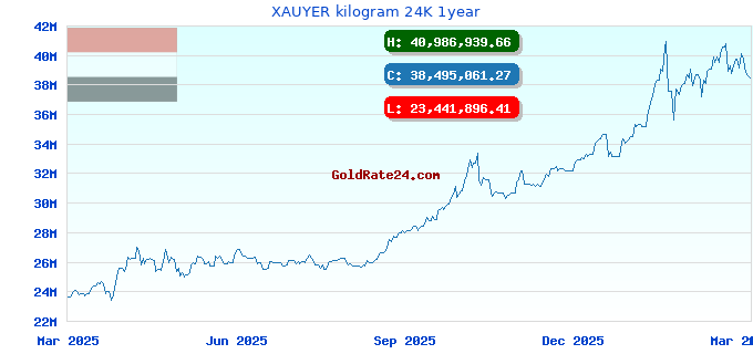 XAUYER kilogram 24K 1year