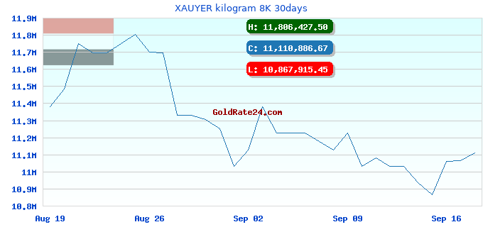 XAUYER kilogram 8K 30days