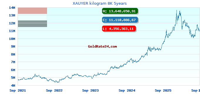 XAUYER kilogram 8K 5years