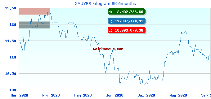 XAUYER kilogram 8K 6months