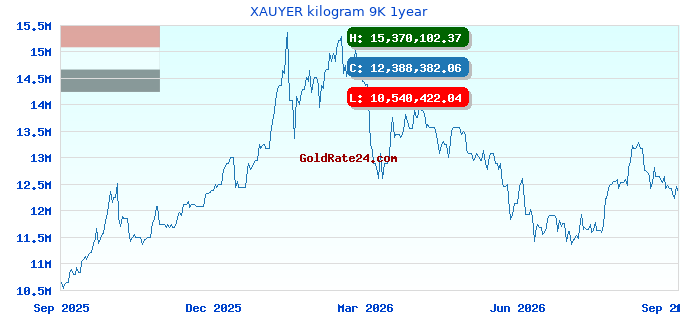 XAUYER kilogram 9K 1year