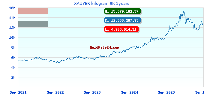 XAUYER kilogram 9K 5years