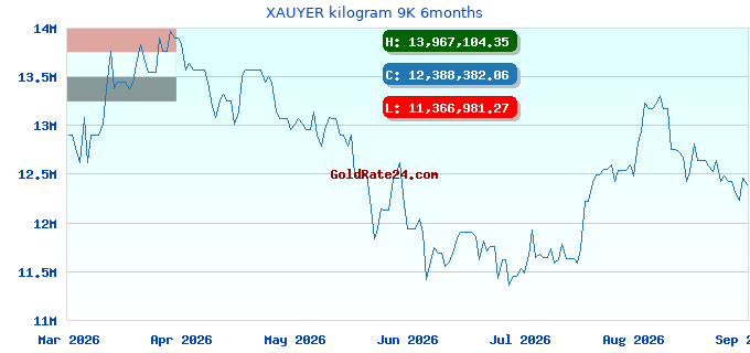 XAUYER kilogram 9K 6months